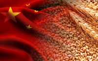 Экспорт зерна в КНР. Фото: Алтайский филиал "Центра оценки качества зерна"