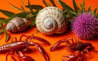 Своя маленькая ниша. На алтайских предприятиях продолжает «созревать» нестандартный урожай