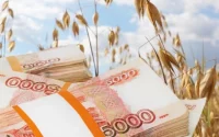 Что посеешь то и продашь. Как меняется сельское хозяйство Алтайского края в 2026 году